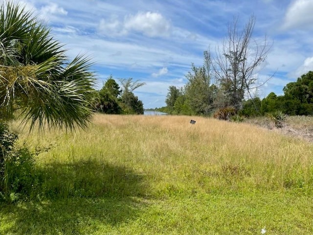 10093 Hallendale Dr, Port Charlotte FL, 33981 land for sale