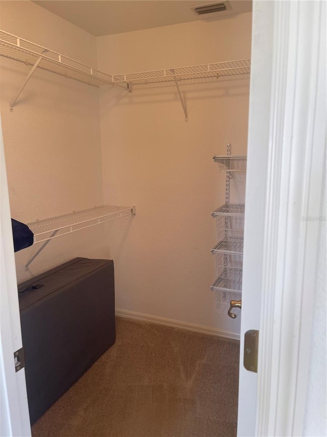 spacious closet featuring carpet flooring