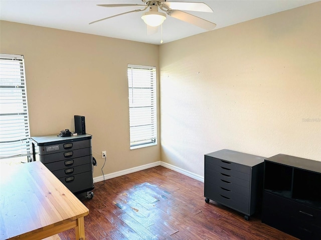 office featuring dark hardwood / wood-style flooring and ceiling fan