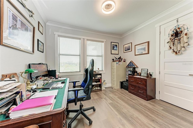 office with ornamental molding and light wood-type flooring