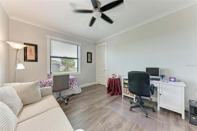 office space featuring ornamental molding, light hardwood / wood-style flooring, and ceiling fan