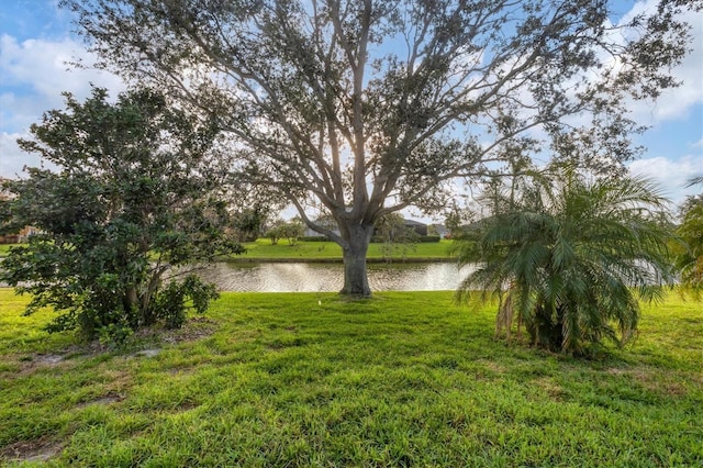 view of yard with a water view