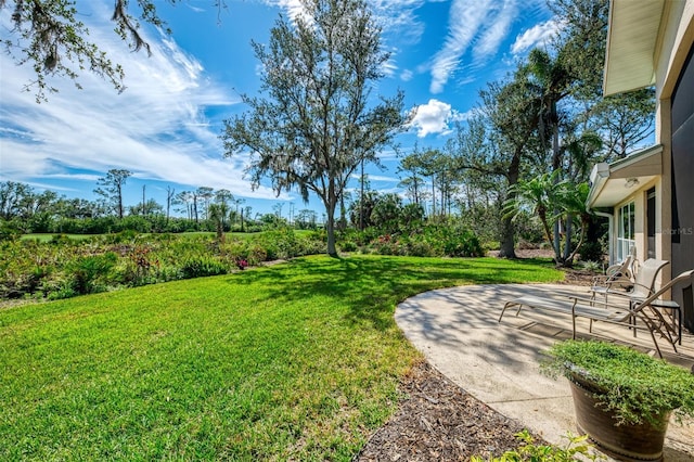 view of yard with a patio