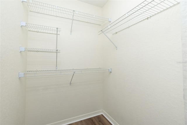 walk in closet featuring hardwood / wood-style floors