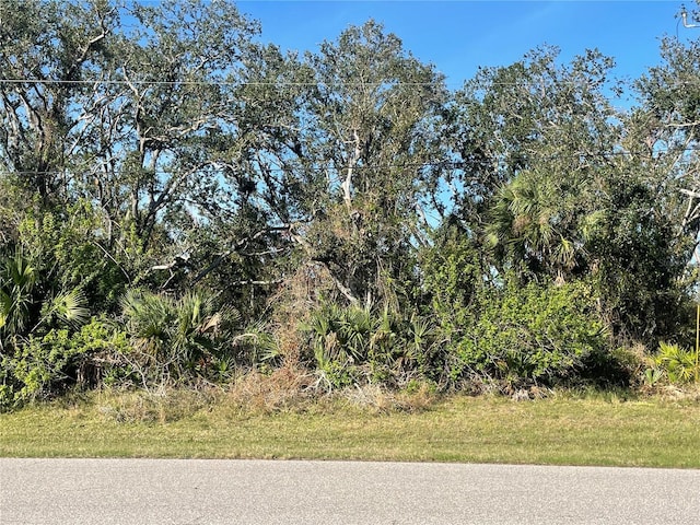 Listing photo 3 for 151 Antis Dr, Rotonda West FL 33947