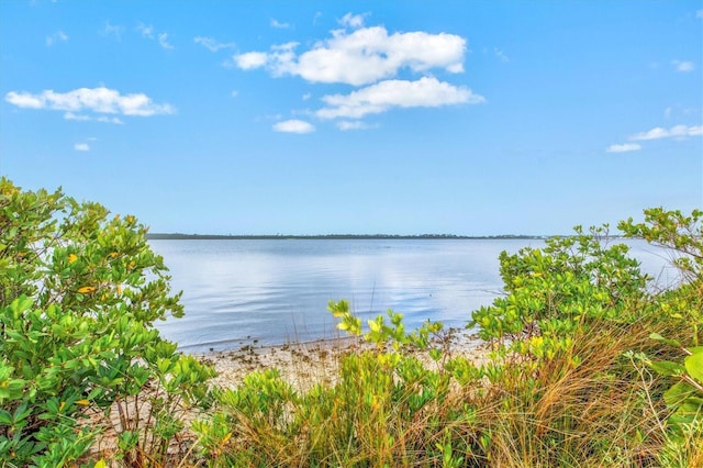 14026 Royal Pointe Dr, Port Charlotte, FL 33953 - photo 45