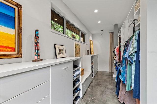 view of spacious closet