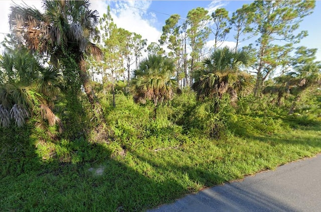 111 Bamboo Dr, Port Charlotte FL, 33954 land for sale