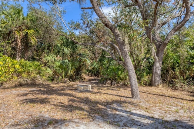 4050 Rock Creek Dr, Port Charlotte, FL 33948 - view of yard