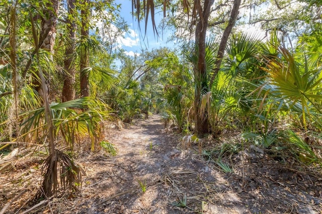 4050 Rock Creek Dr, Port Charlotte, FL 33948 - view of nature