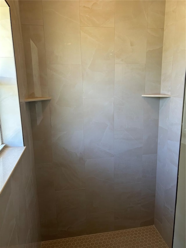 4050 Rock Creek Dr, Port Charlotte, FL 33948 - interior details featuring tiled shower