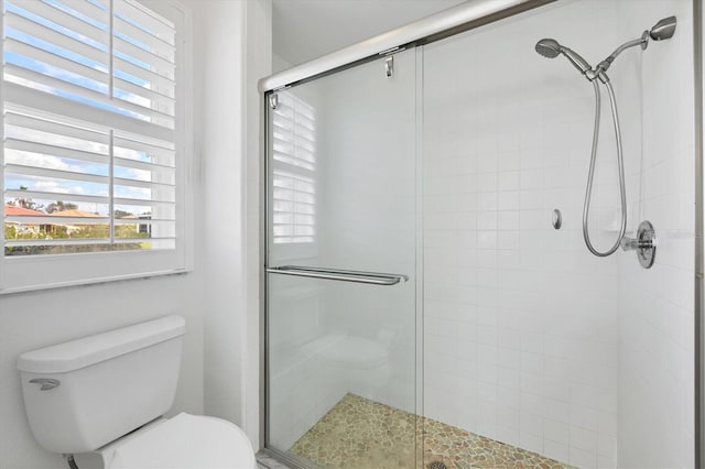 full bath featuring toilet and a stall shower