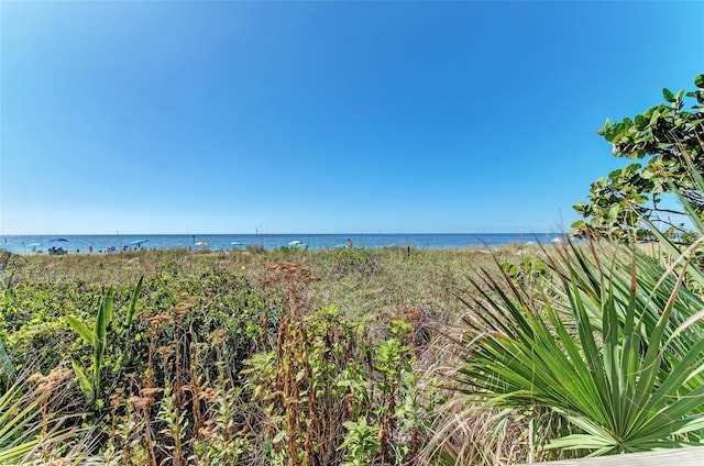 view of water feature featuring a view of the beach