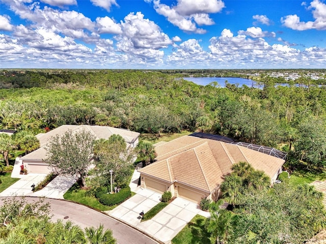 bird's eye view featuring a water view and a wooded view