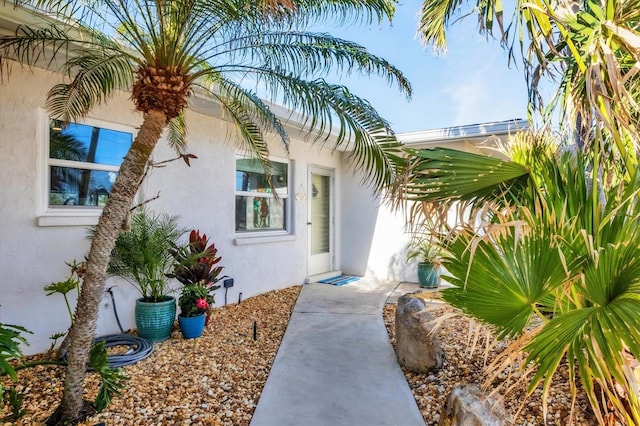 doorway to property with stucco siding