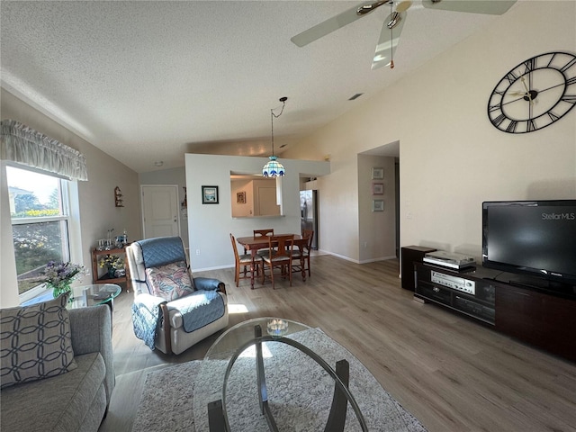 living area featuring lofted ceiling, a textured ceiling, and wood finished floors