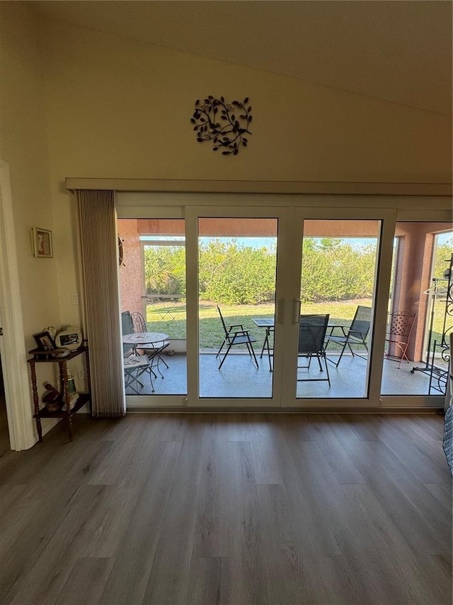 doorway featuring wood finished floors