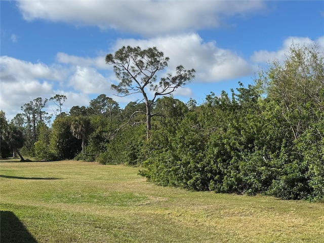 view of local wilderness