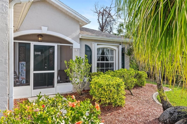 view of exterior entry with stucco siding and roof with shingles