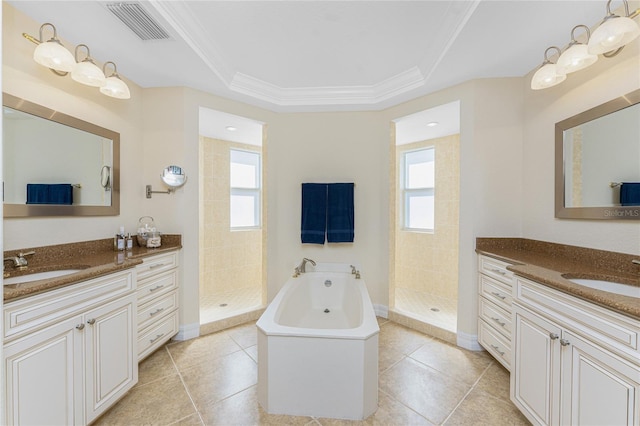 bathroom with plenty of natural light, a sink, and visible vents