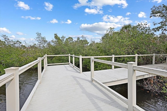 dock area with a water view