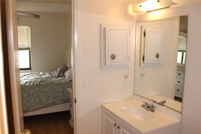 bathroom with wood finished floors and vanity