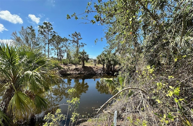 11417 Claggett Ave, Port Charlotte, FL 33981