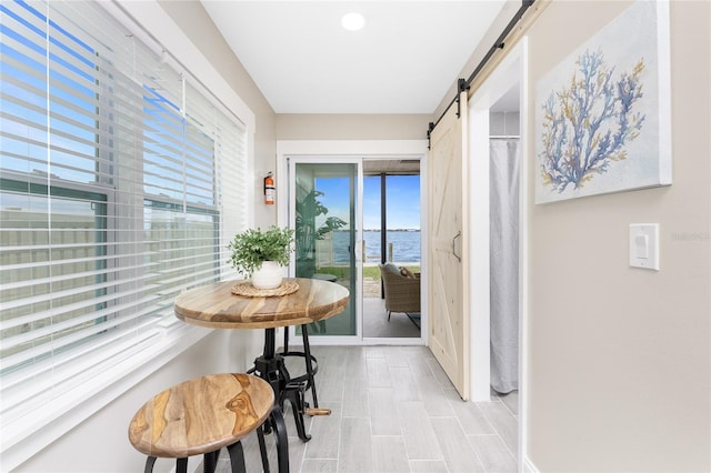 entryway featuring plenty of natural light and a barn door