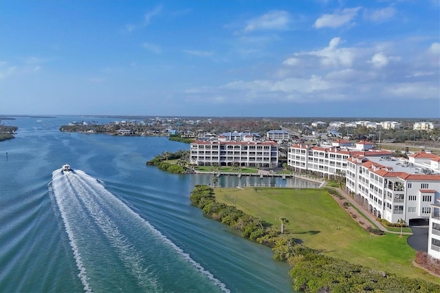 bird's eye view with a water view