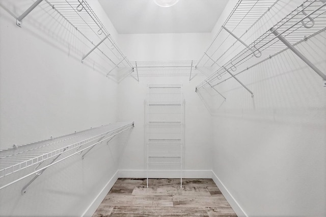 walk in closet featuring wood finished floors