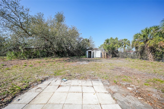 view of yard with a patio area, an outdoor structure, and a storage shed