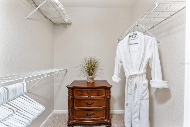 walk in closet featuring carpet floors