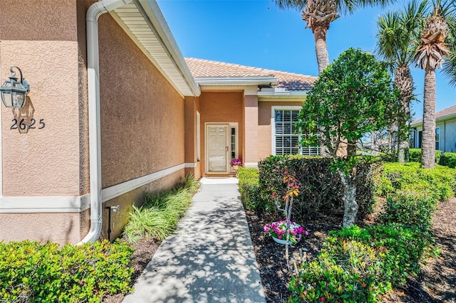 doorway to property with stucco siding