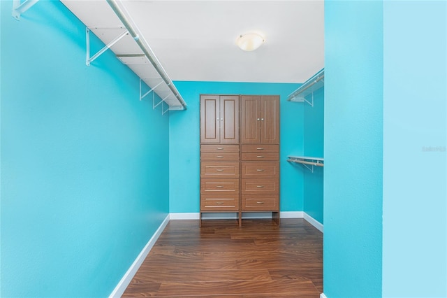 spacious closet with dark wood-type flooring