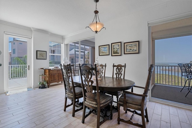 dining area featuring light wood finished floors, a textured ceiling, baseboards, and crown molding