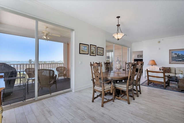 dining space with ornamental molding, ceiling fan, light wood finished floors, and baseboards