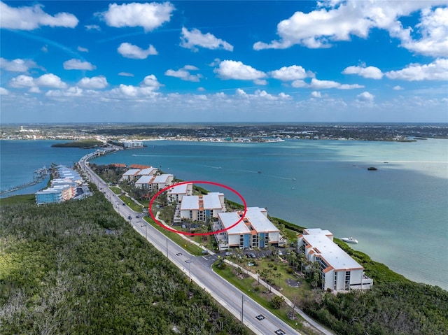 bird's eye view with a water view