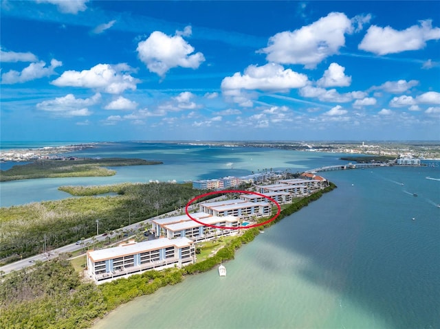 bird's eye view with a water view