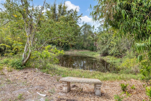 view of water feature featuring a forest view