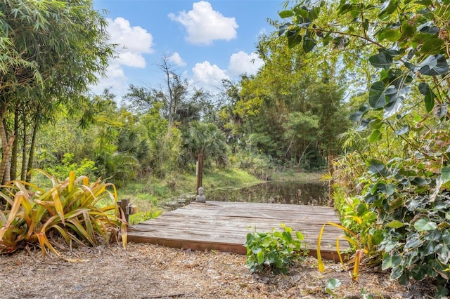 wooden deck with a view of trees