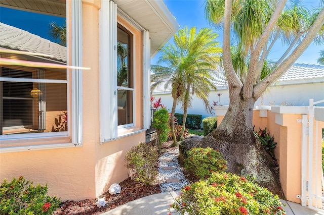 view of property exterior with stucco siding