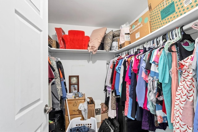 view of spacious closet