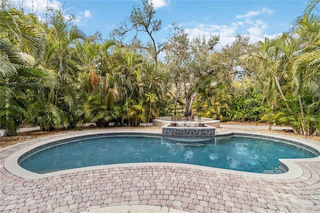 view of pool with a patio area