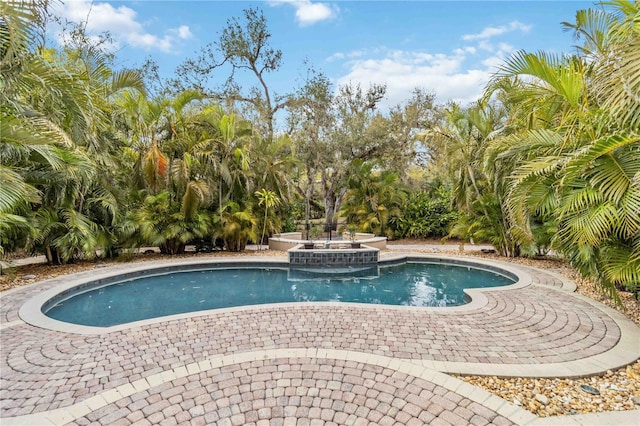 pool with a patio area and a jacuzzi