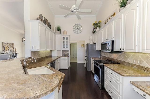 kitchen with stainless steel appliances, crown molding, and a sink