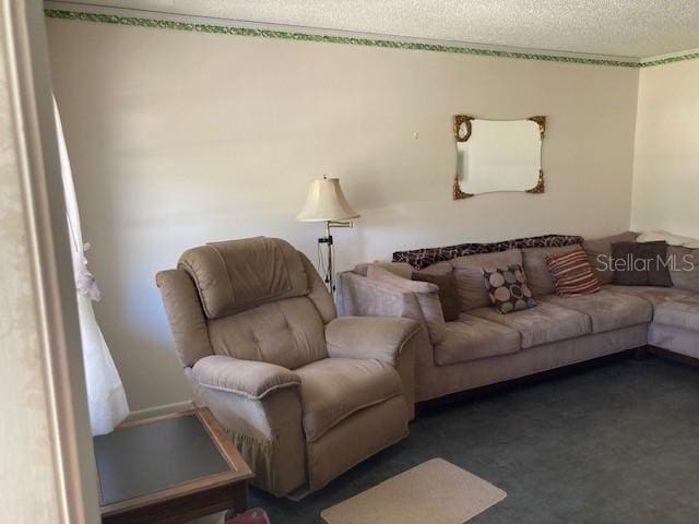 living room with a textured ceiling