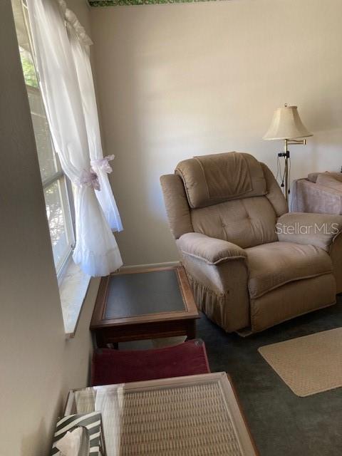 living area featuring carpet floors and a healthy amount of sunlight