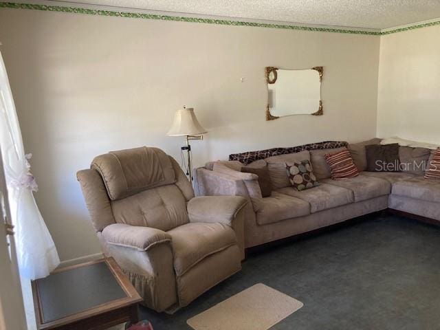 carpeted living room with a textured ceiling