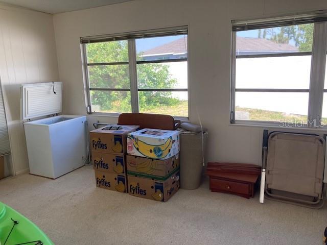 clothes washing area featuring carpet flooring and a healthy amount of sunlight