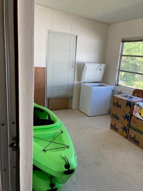 clothes washing area featuring carpet